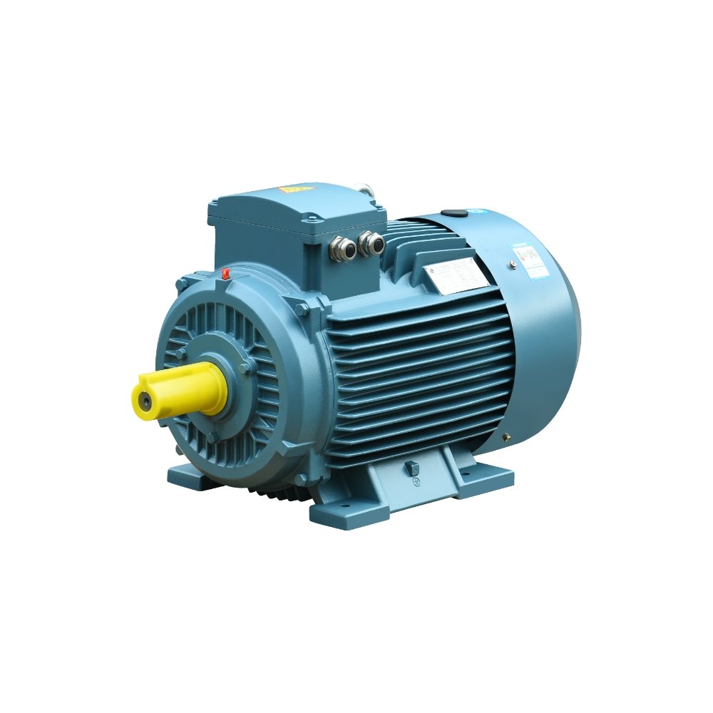 YE4 High-Efficiency Three-Phase Asynchronous Motors YE4 High-Efficiency Three-Phase Asynchronous Motors